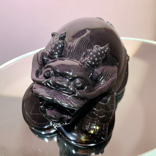 Colorful Obsidian|Pink Dragon Turtle No.3