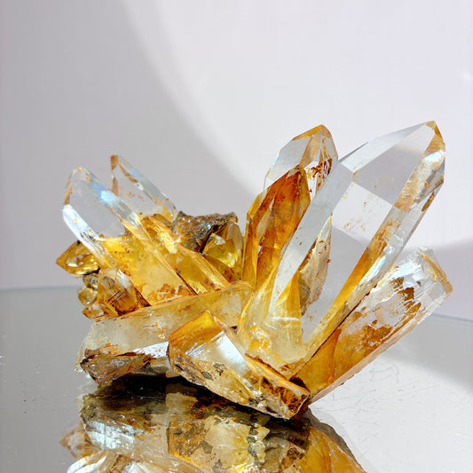 頂級* 黃金列姆利亞