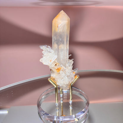 頂級* 芒果列姆利亞